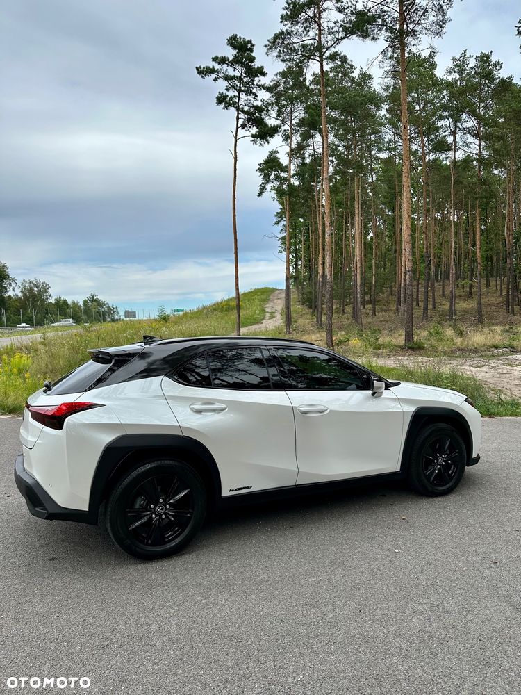Lexus UX 250h Prestige 2WD - 19