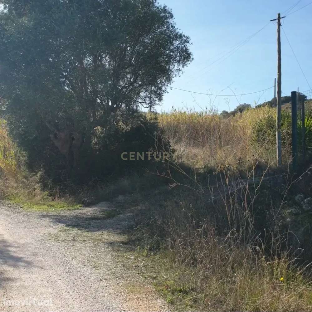 Fantástico e grandioso terreno em Alenquer - Grande imagem: 2/12