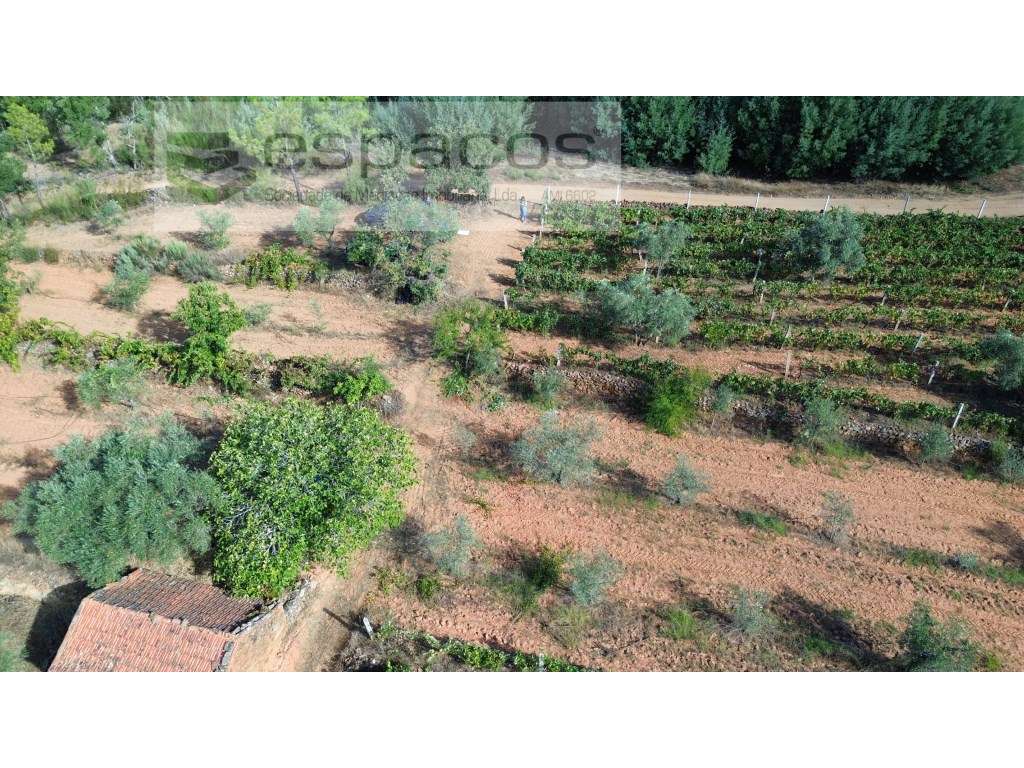 Terreno em Pêro Viseu com grande potêncial - Grande imagem: 4/48