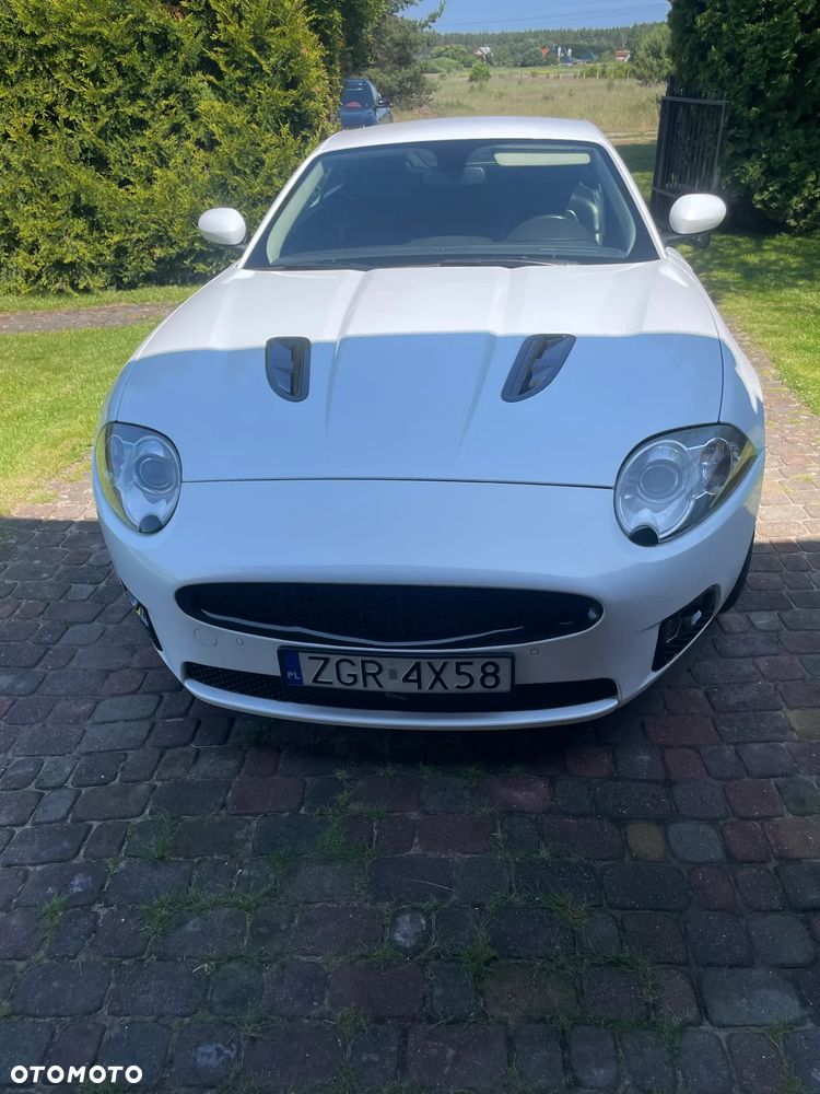 Jaguar XK 4.2 V8 - 2