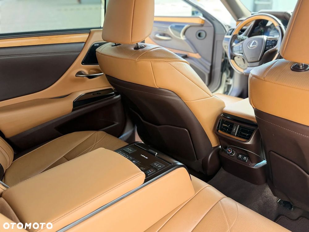 Lexus ES 300h Omotenashi - 16