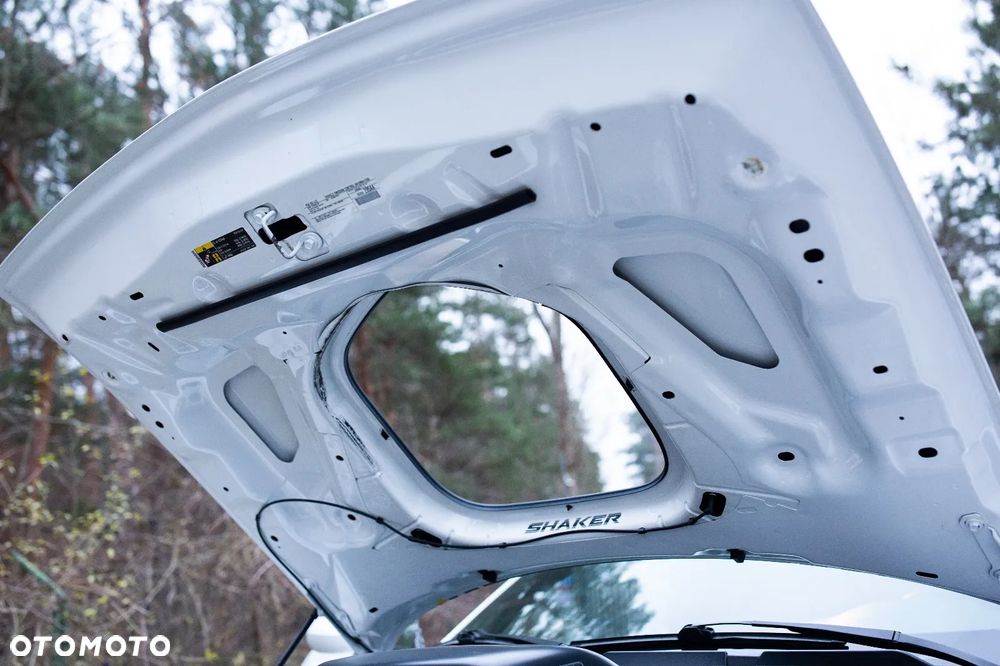 Dodge Challenger 5.7 R/T Shaker - 30