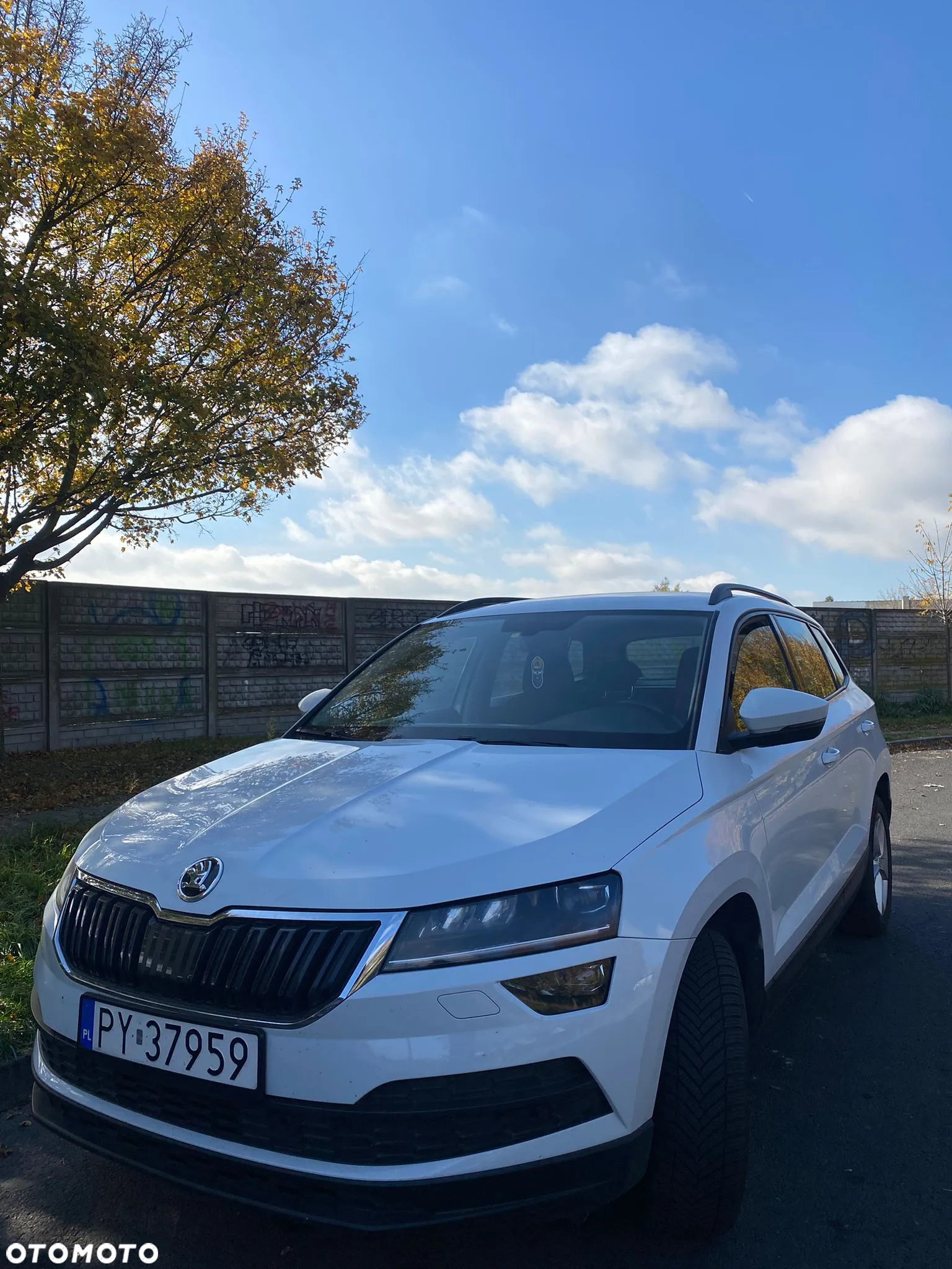 Skoda Karoq 1.6 TDI 4x2 Ambition DSG - 6