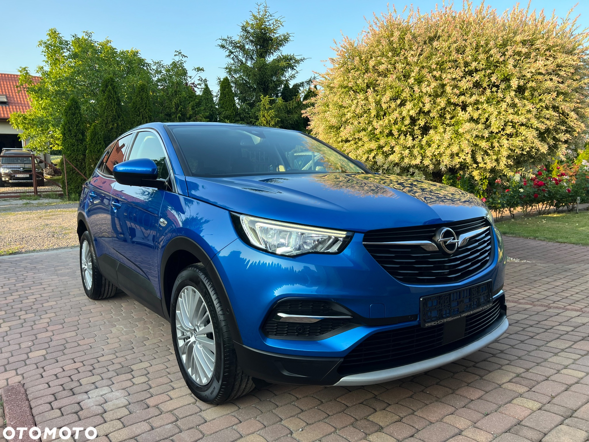 Opel Grandland X 1.5 CDTI Elite S&S - 2