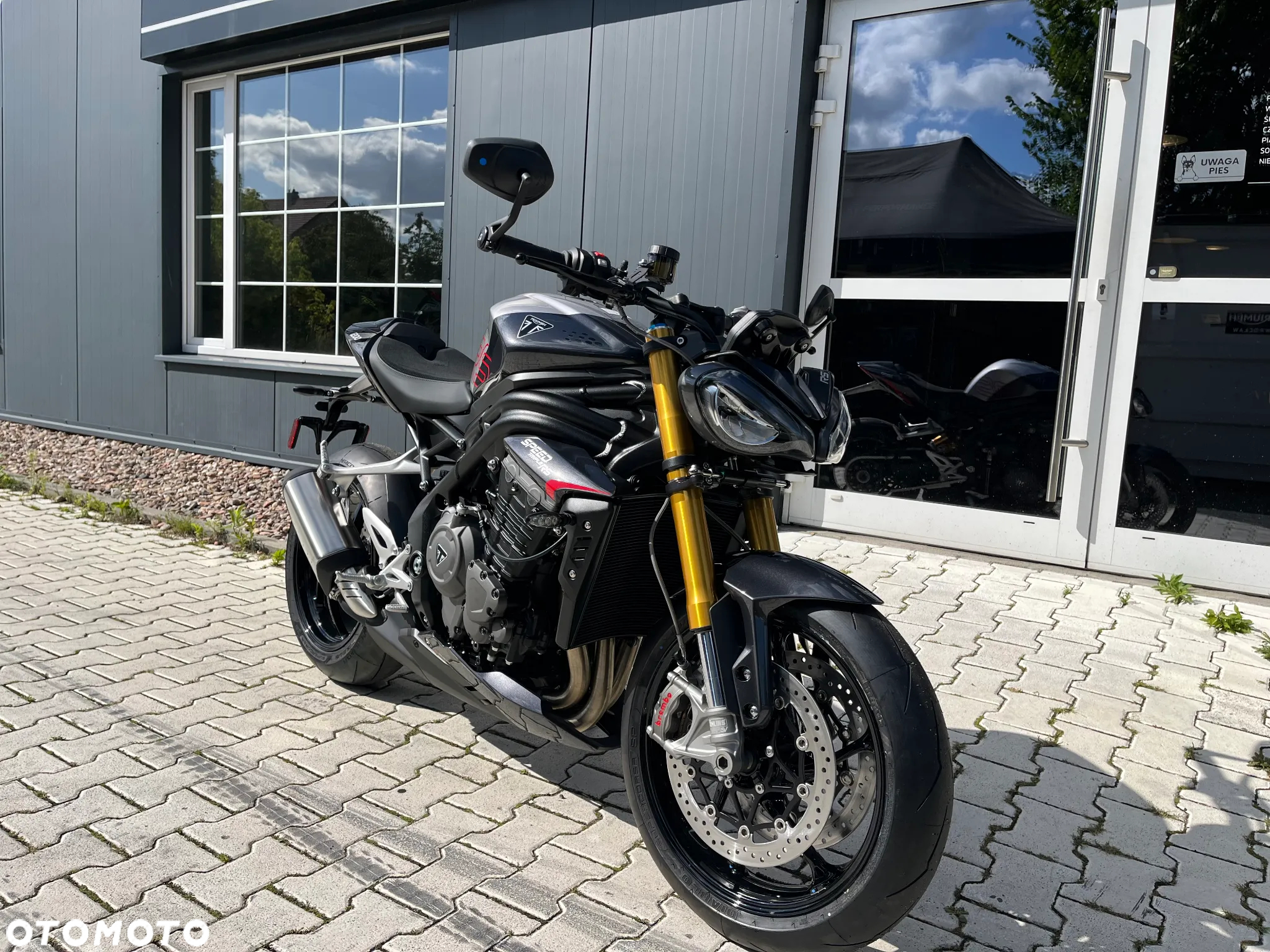 Triumph Speed Triple - 7