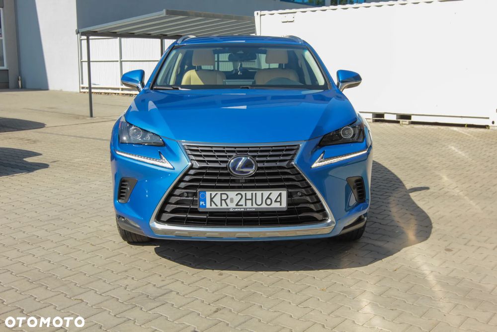 Lexus NX 300h Comfort AWD - 23
