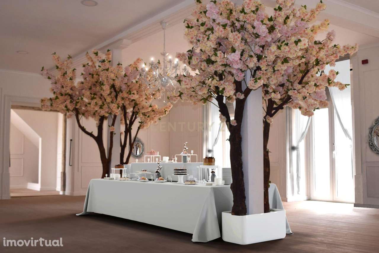 Quinta de eventos e propriedade  - Figueira da Foz - Grande imagem: 5/60