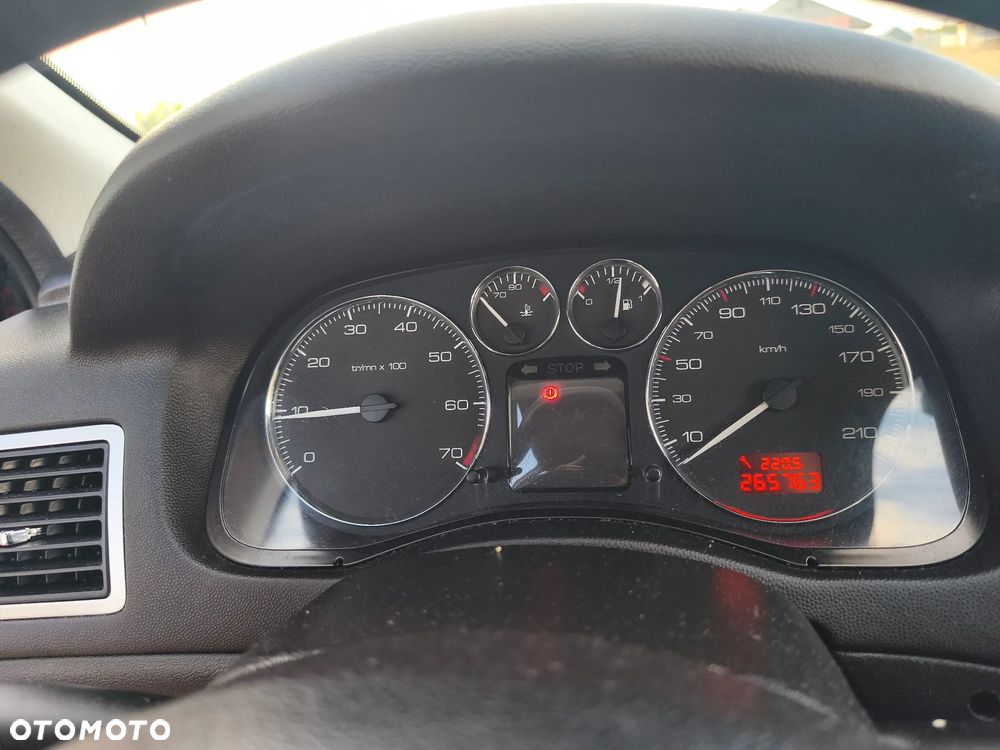 Peugeot 307 1.6 - 24