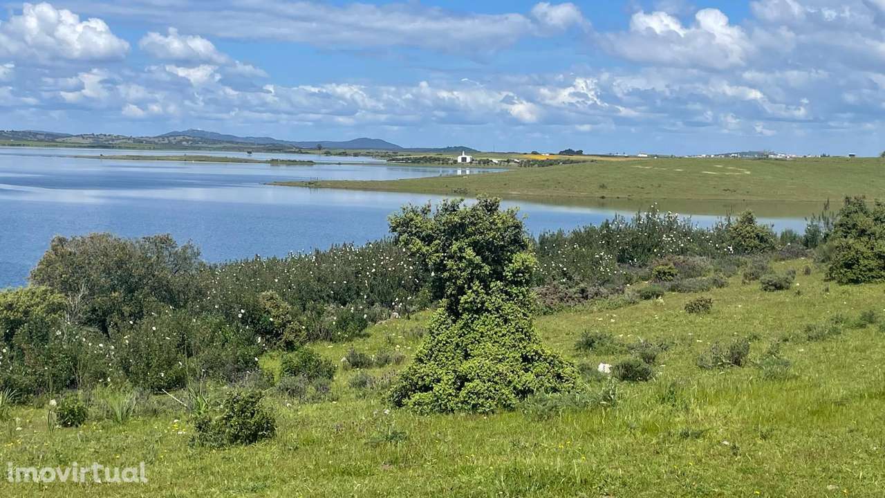 Terreno na Margem Alqueva - Grande imagem: 2/26