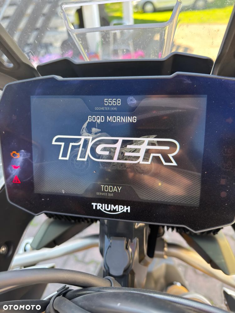 Triumph Tiger - 3