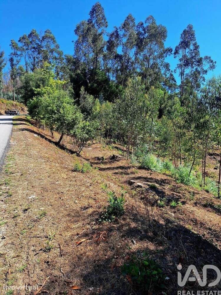 Terreno Agrícola em Portela e Extremo - Grande imagem: 4/7