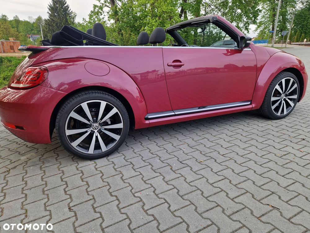 Volkswagen Beetle - 8