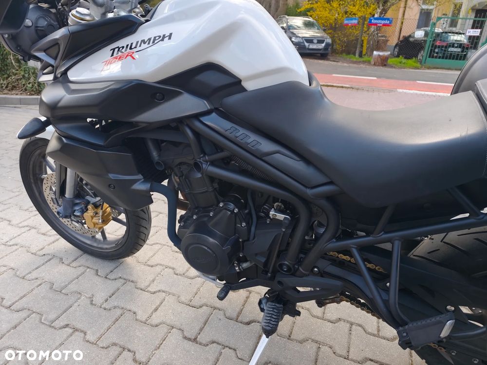 Triumph Tiger - 13