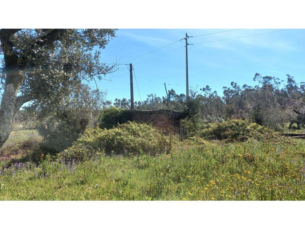 Terreno Rustico - Grande imagem: 3/10