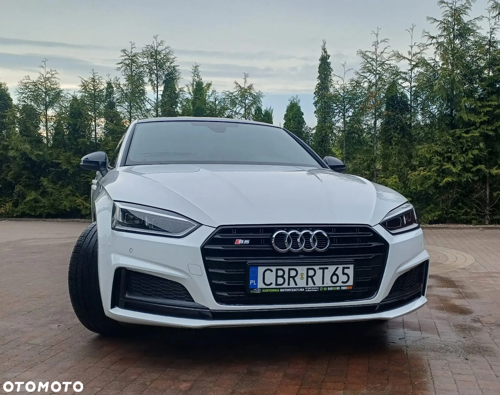 Audi S5 3.0 TFSI Quattro Tiptronic - 20