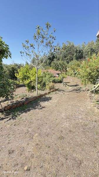 Vendo Casa Rustica com terreno - Grande imagem: 5/7