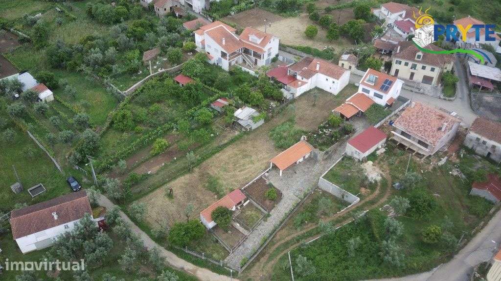 Terreno para construção plano com oliveiras situada a 2 km da Sertã - Grande imagem: 3/10