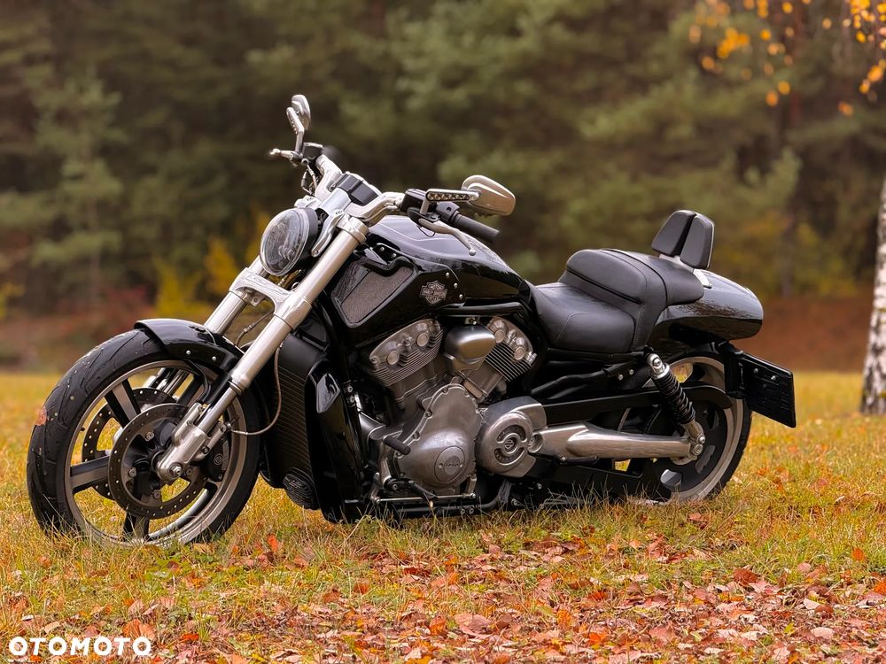 Harley-Davidson V-Rod Muscle - 3