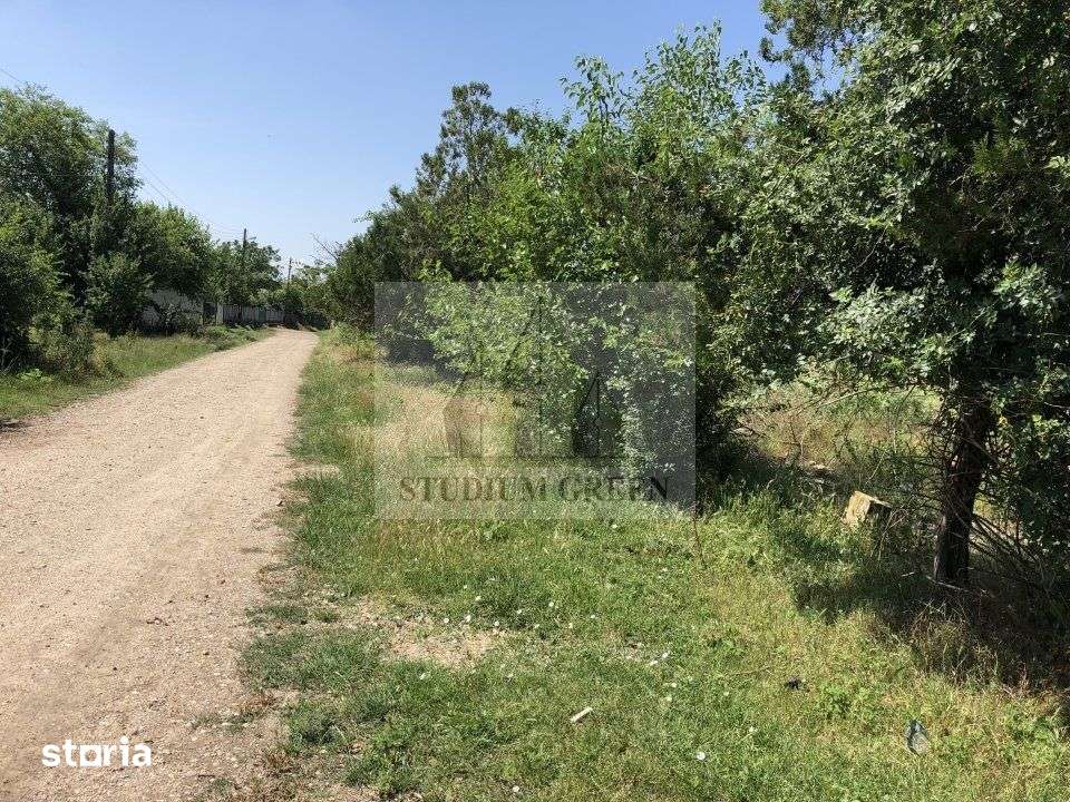 Proprietar vand teren -Teleorman-Radoiesti/Cetate-Comision 0! - Imagine principală: 5/11