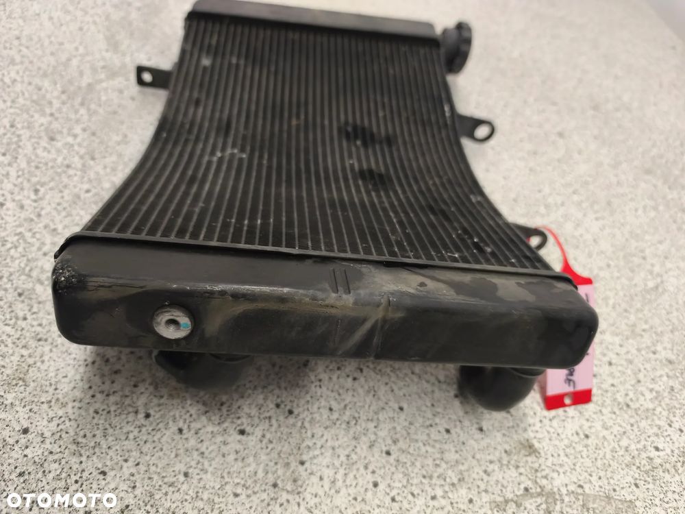 Chłodnica Triumph Street Triple 675 - 5