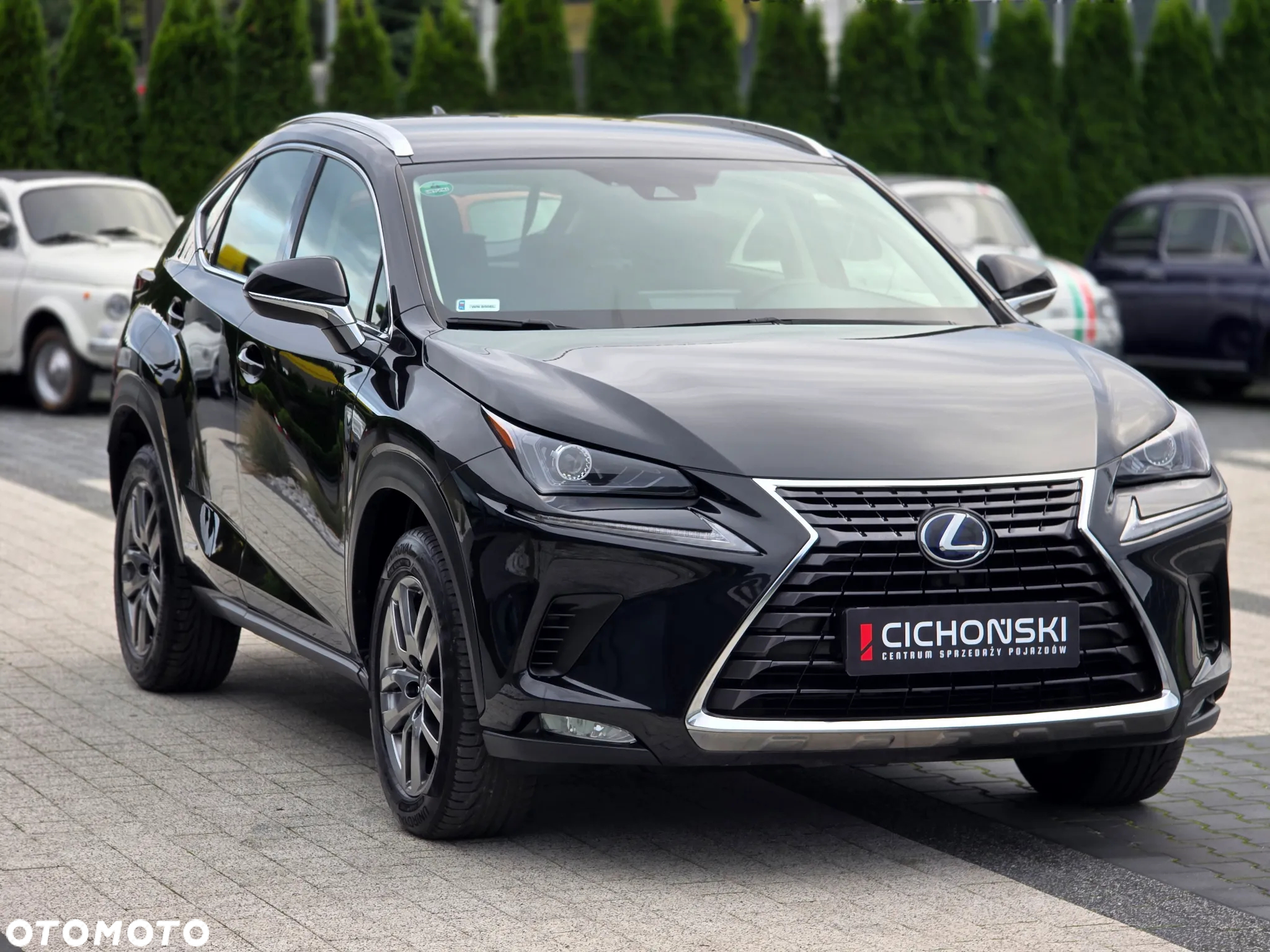 Lexus NX 300h Elegance AWD - 14