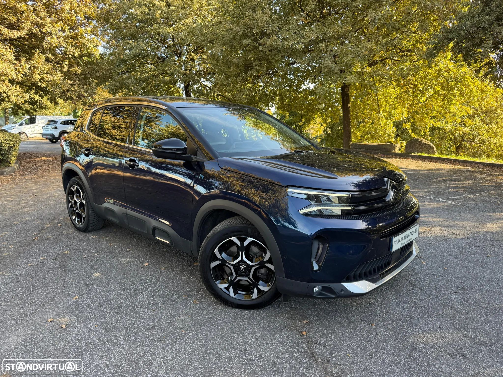 Citroën C5 Aircross 1.6 Hybrid E-Series Collection e-EAT8 - 1