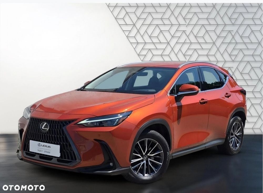Lexus NX 300 Prestige AWD - 2