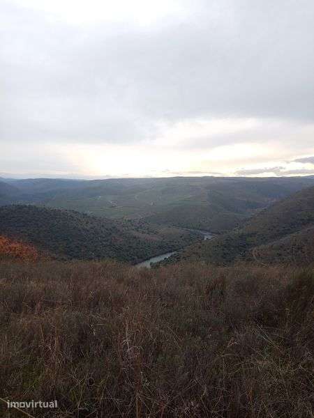 Terreno de 0,460 hectares - Grande imagem: 4/5