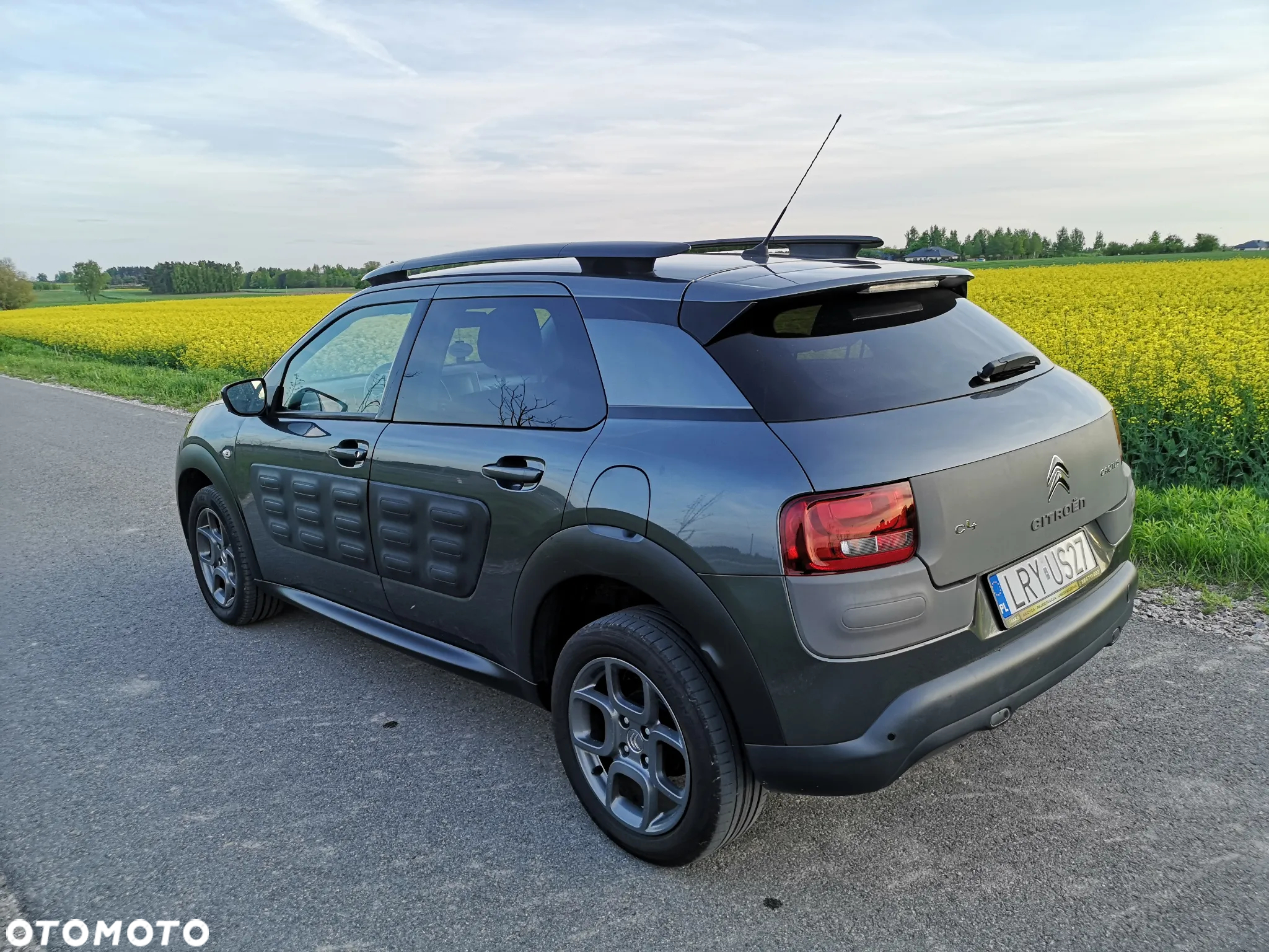 Citroën C4 Cactus 1.2 PureTech Shine Edition S&S ETG - 23