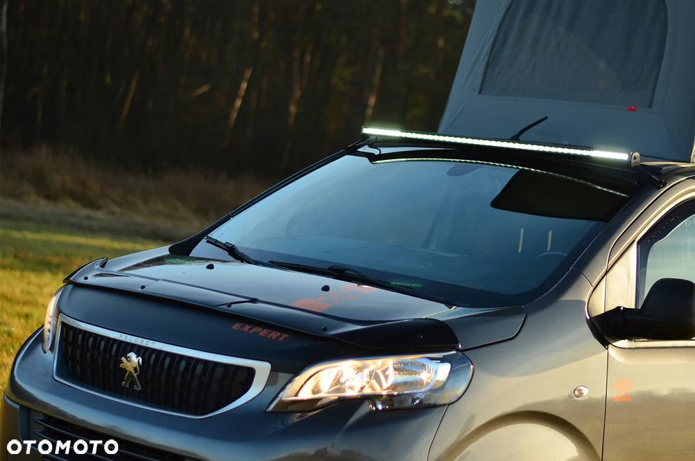 Peugeot Dangel Expert 4x4 - 11