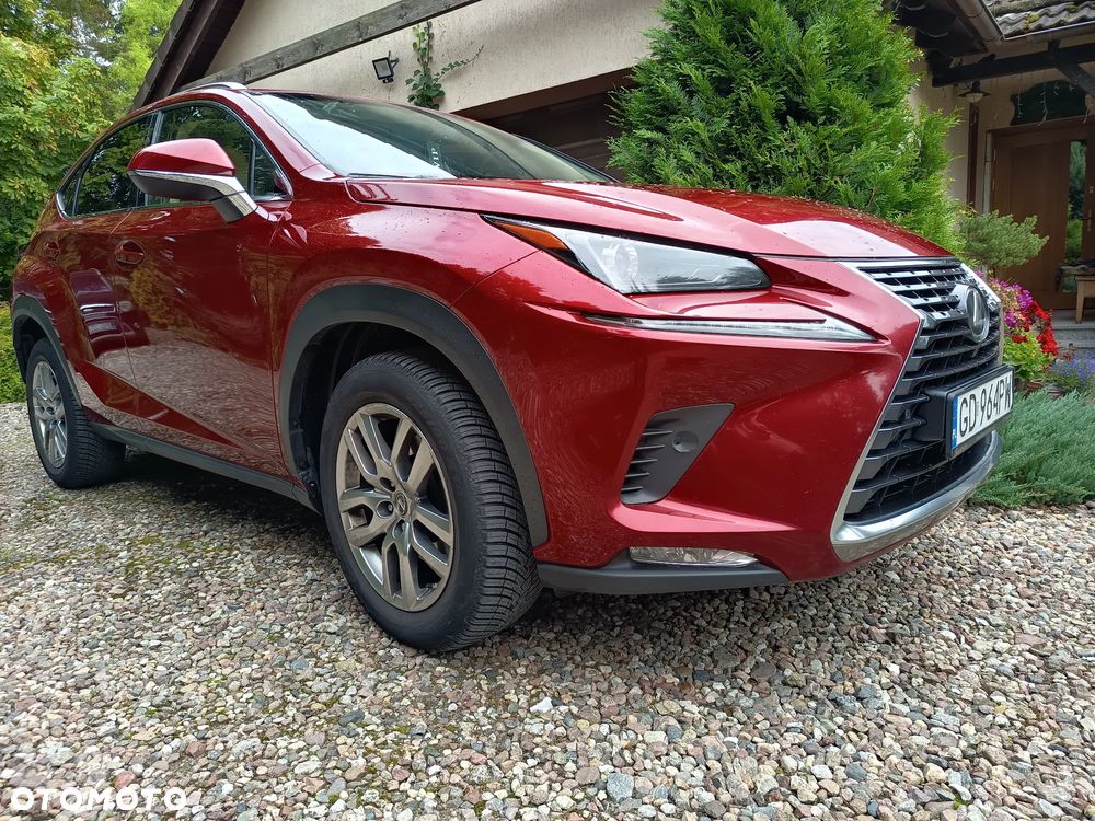 Lexus NX 300 Comfort AWD - 6