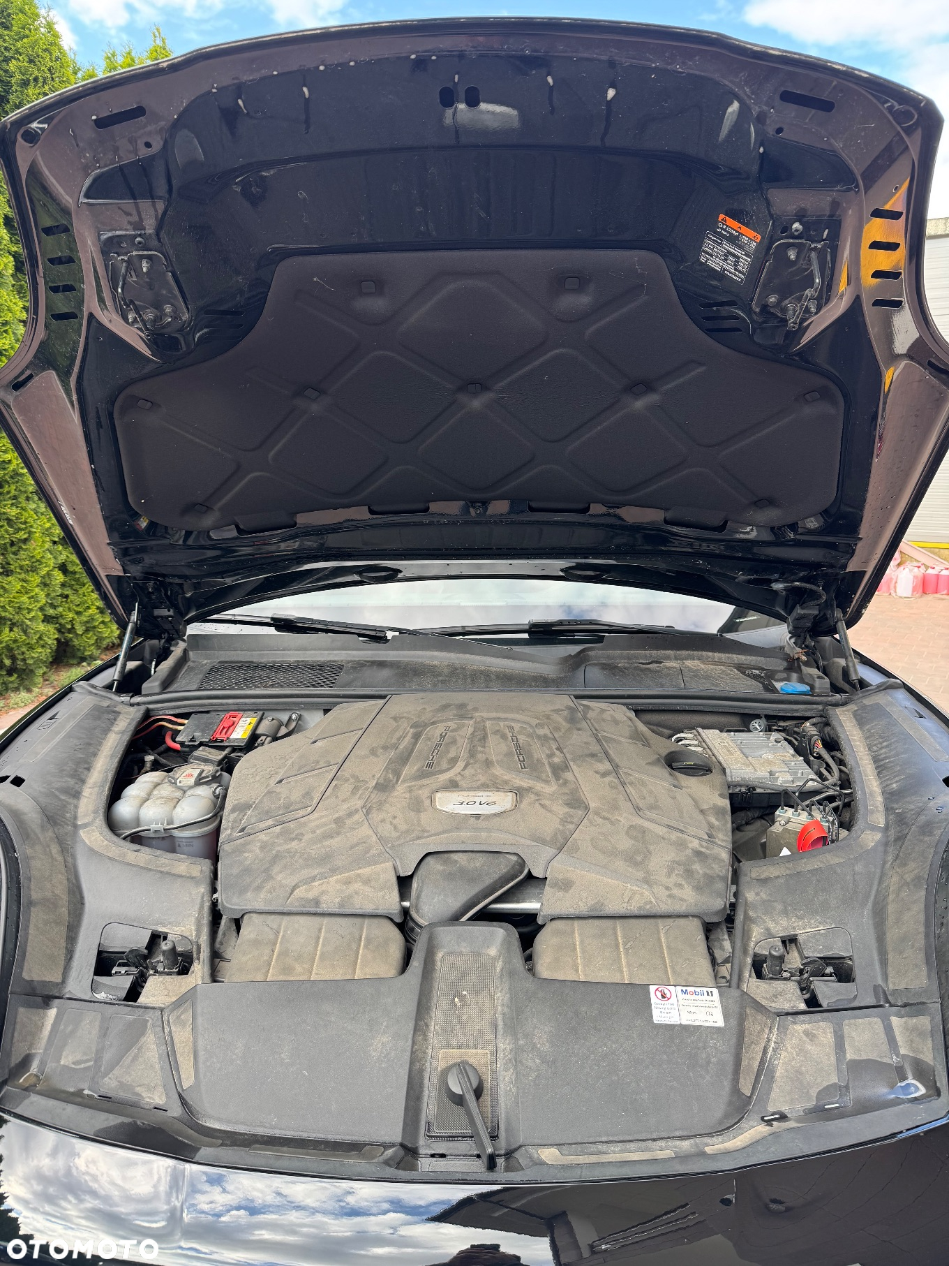 Porsche Cayenne Standard - 18