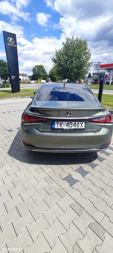 Lexus ES 300h Omotenashi - 7