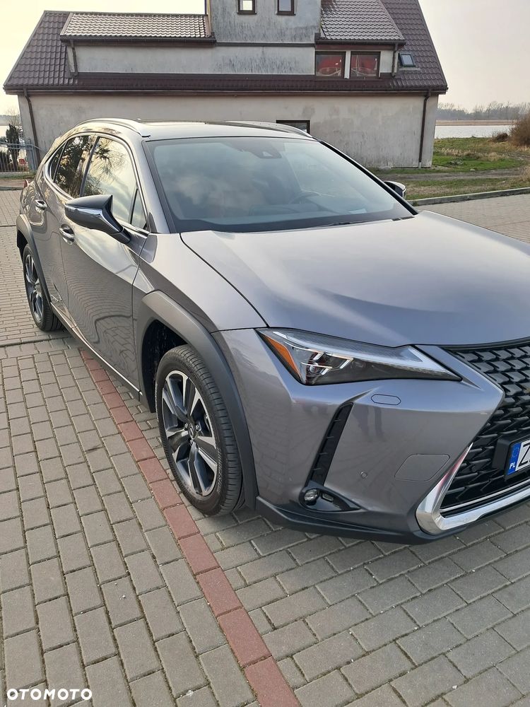 Lexus UX 250h GPF Omotenashi 2WD - 1