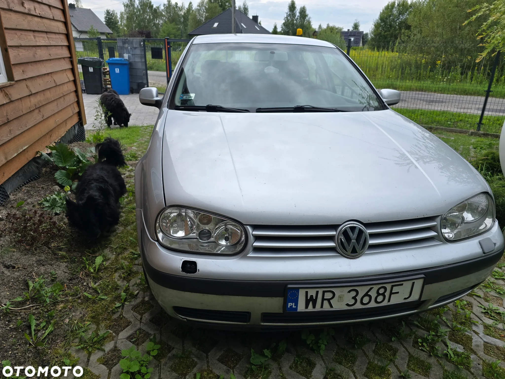 Volkswagen Golf IV 1.4 16V Trendline - 7