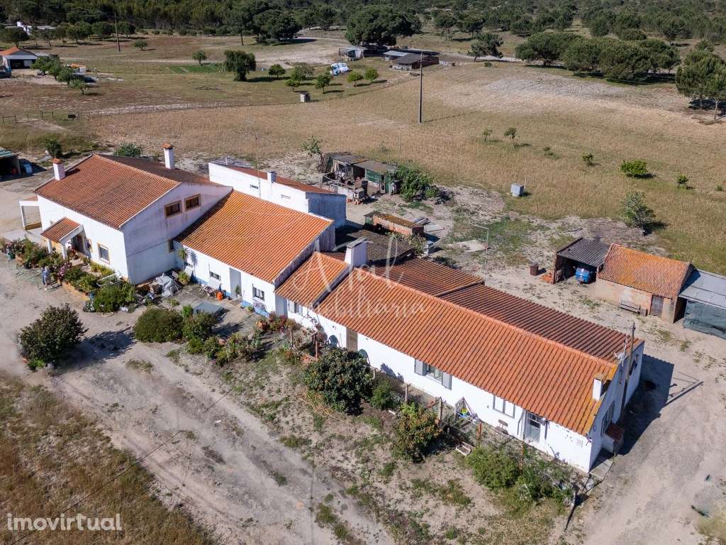 Herdade Única com Duas Casas e Anexos - Próximo da Lagoa de Melides... - Grande imagem: 2/23