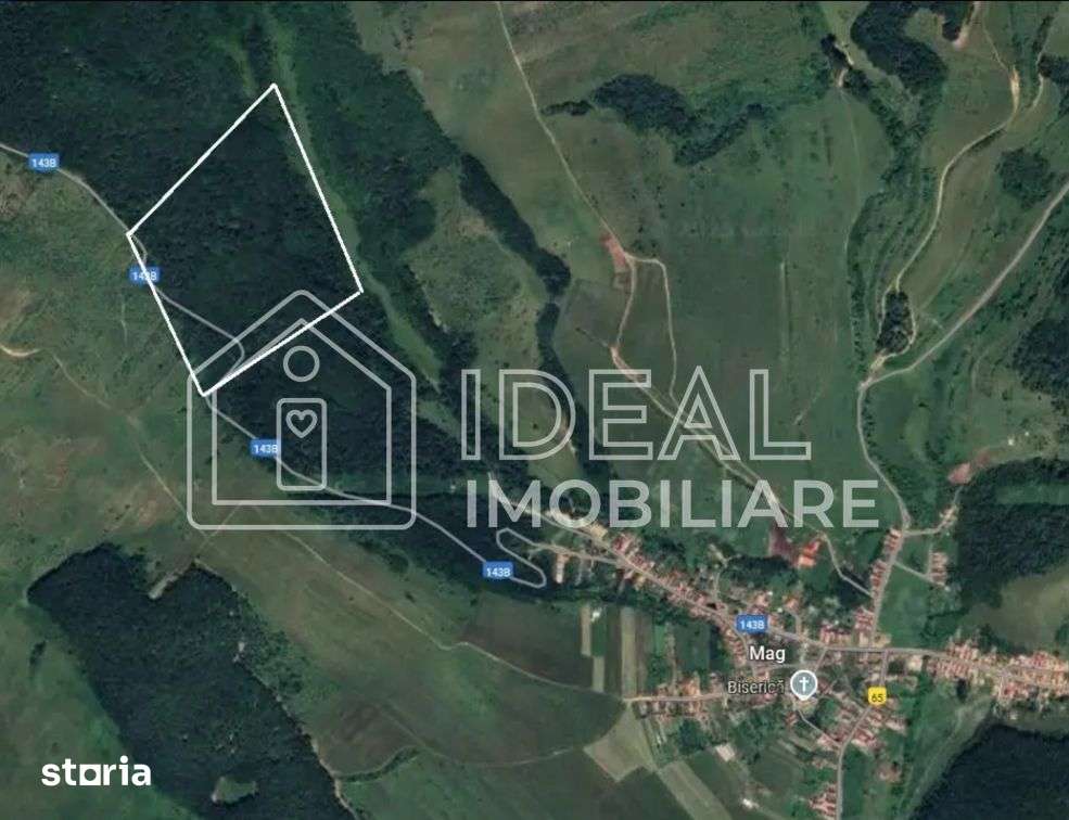 Pădure matură 12,71 ha - Mag, jud. Sibiu - potențial exploatare 2025 - Imagine principală: 3/3
