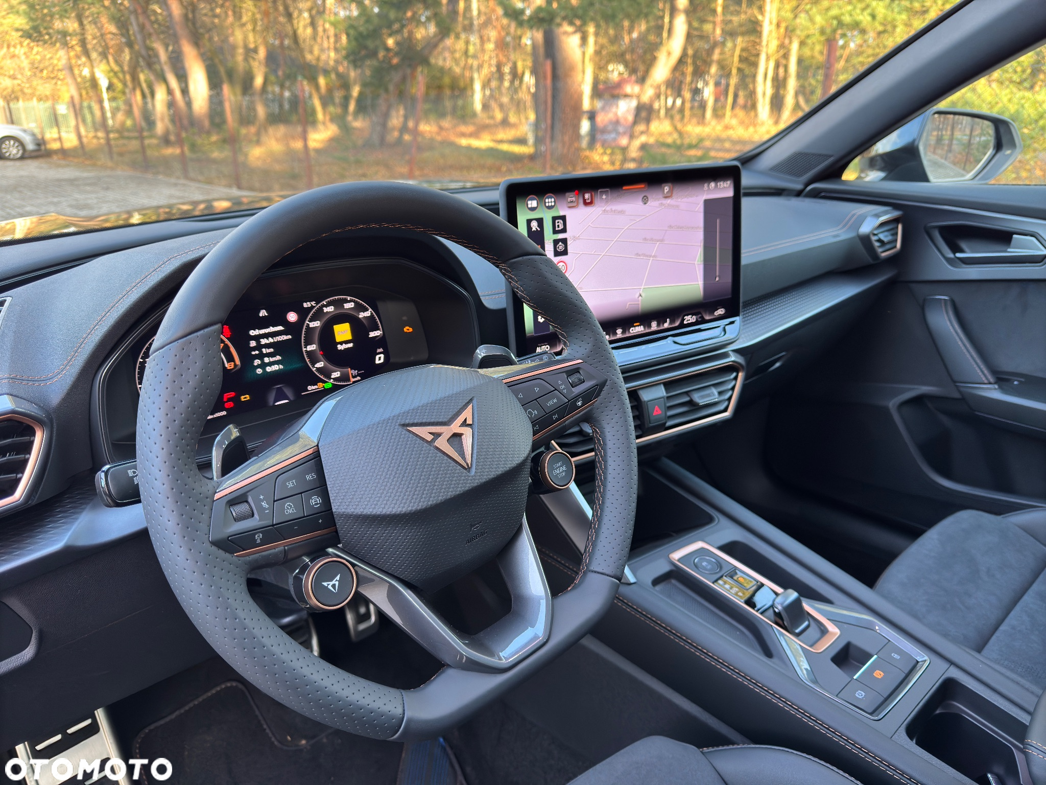 Cupra Formentor 2.0 TSI 4Drive VZ DSG - 14