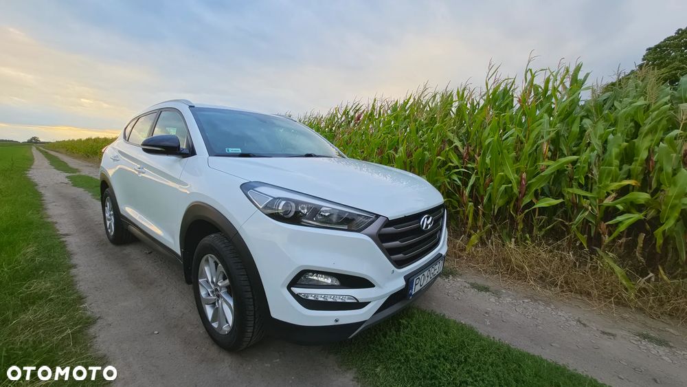 Hyundai Tucson 1.6 GDI BlueDrive GO 2WD - 21