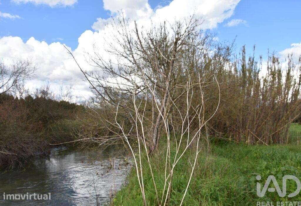 Terreno em Freixianda, Ribeira do Fárrio e Formigais de 6021,00 m2 - Grande imagem: 2/26