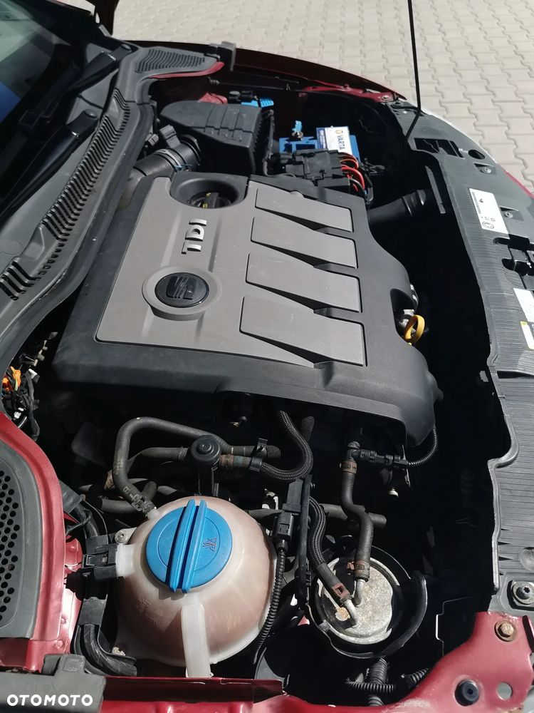 Seat Ibiza - 23
