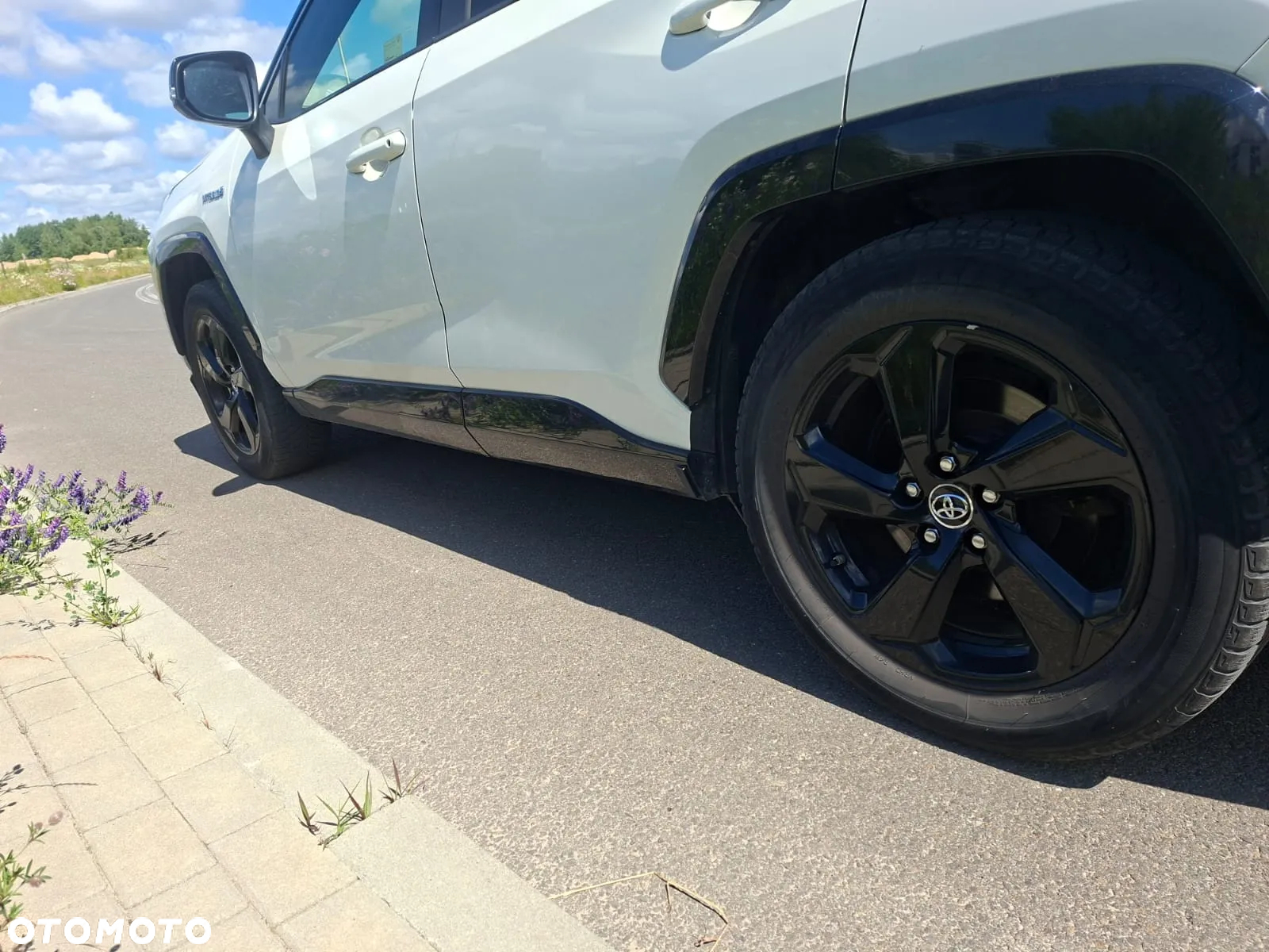 Toyota RAV4 2.5 Hybrid Selection 4x2 - 10
