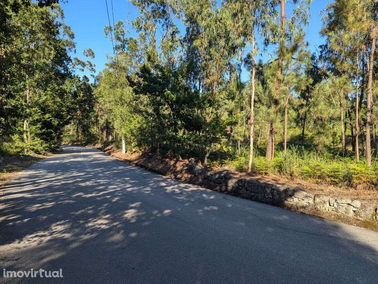Terreno com 8400m2 junto à estrada principal de Verim - Grande imagem: 2/3