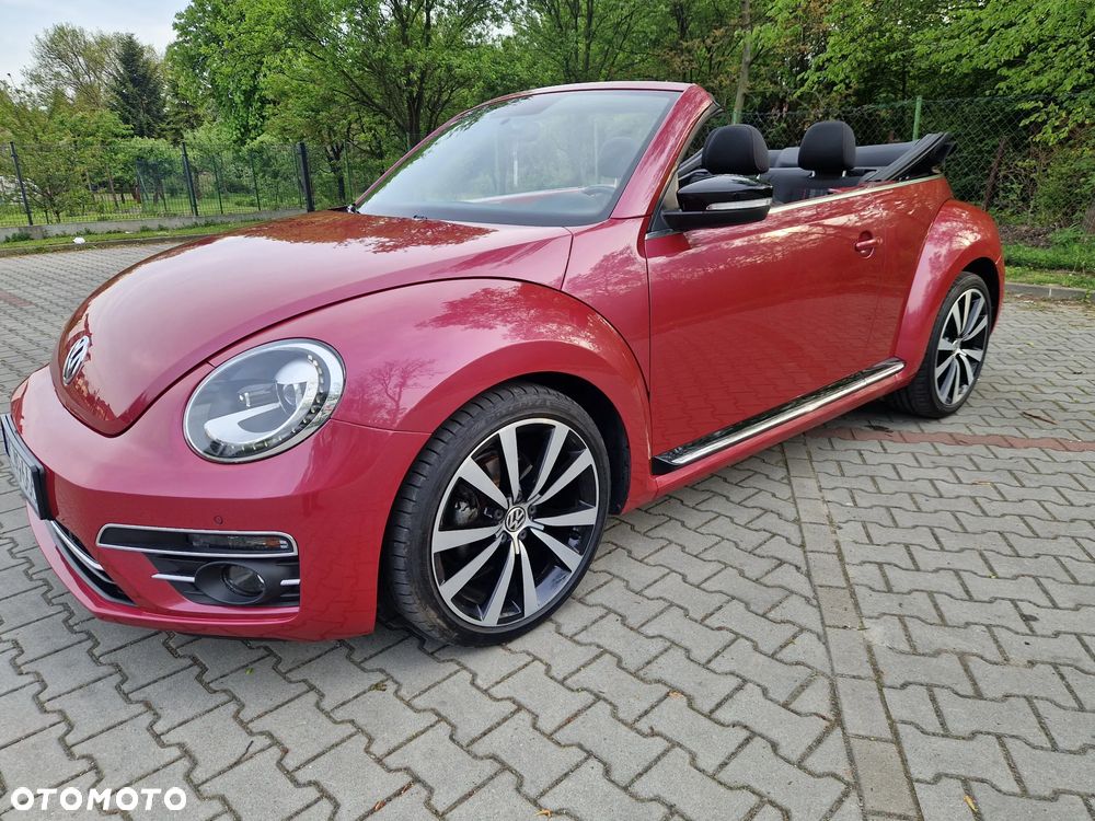 Volkswagen Beetle - 10