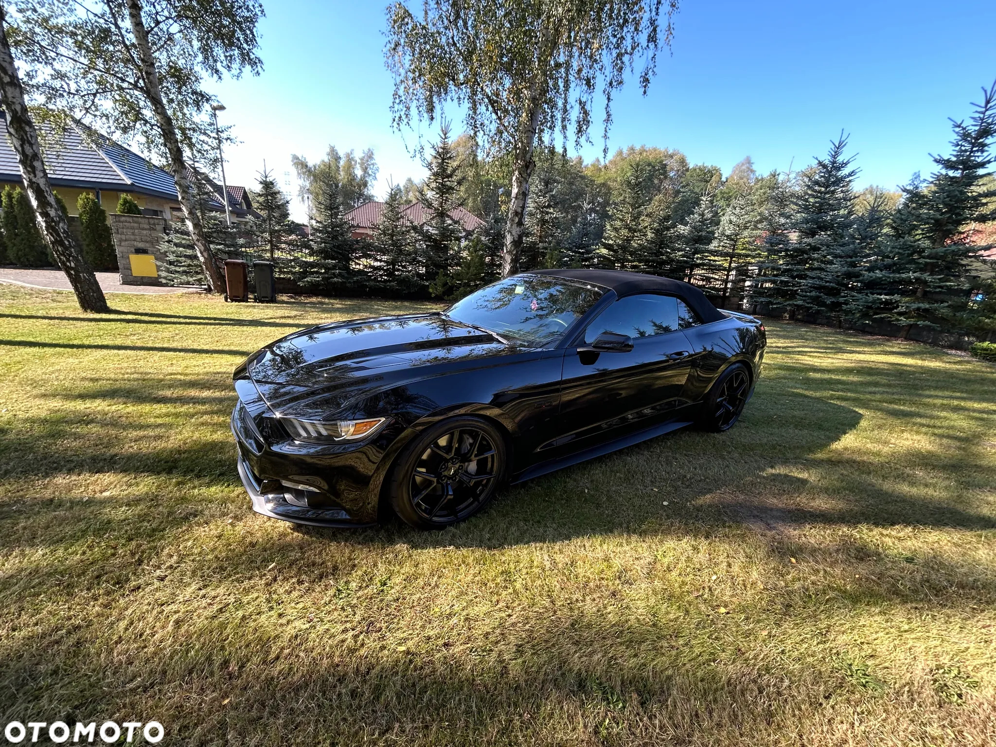 Ford Mustang - 3