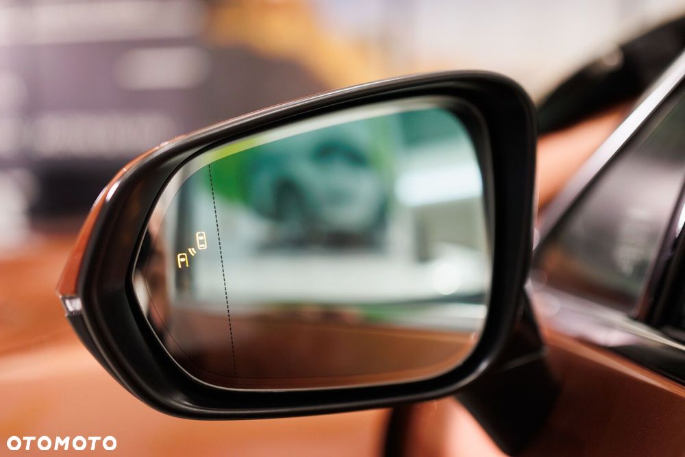 Lexus RX 450h+ Omotenashi - 16