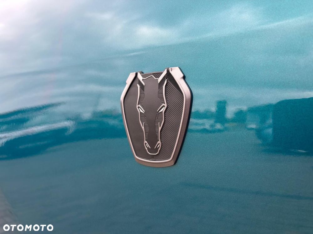 Ford Mustang - 14