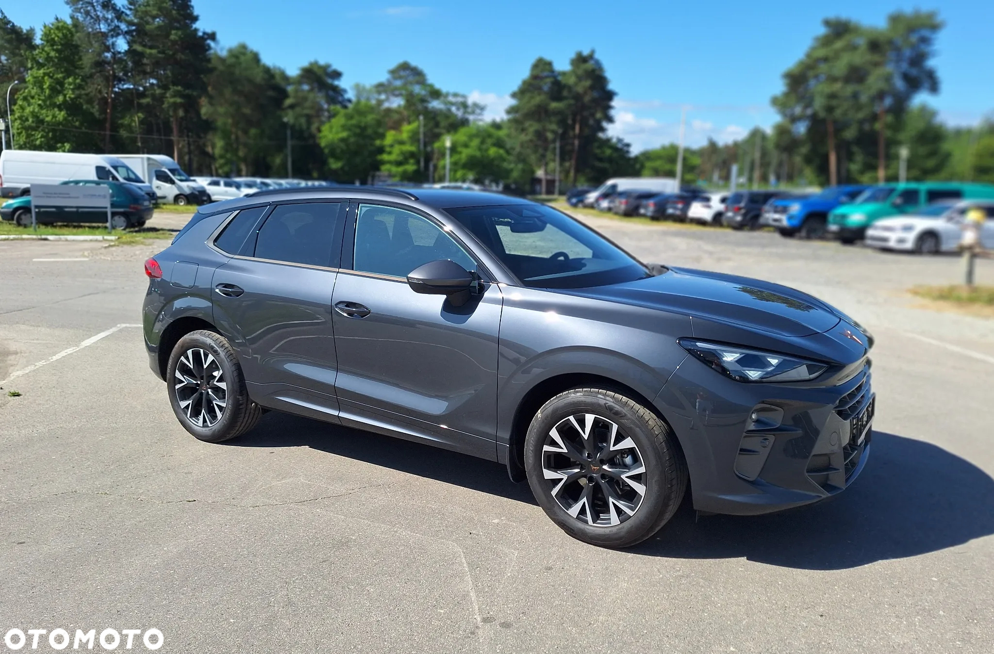 Cupra Terramar 1.5 eTSI DSG - 8