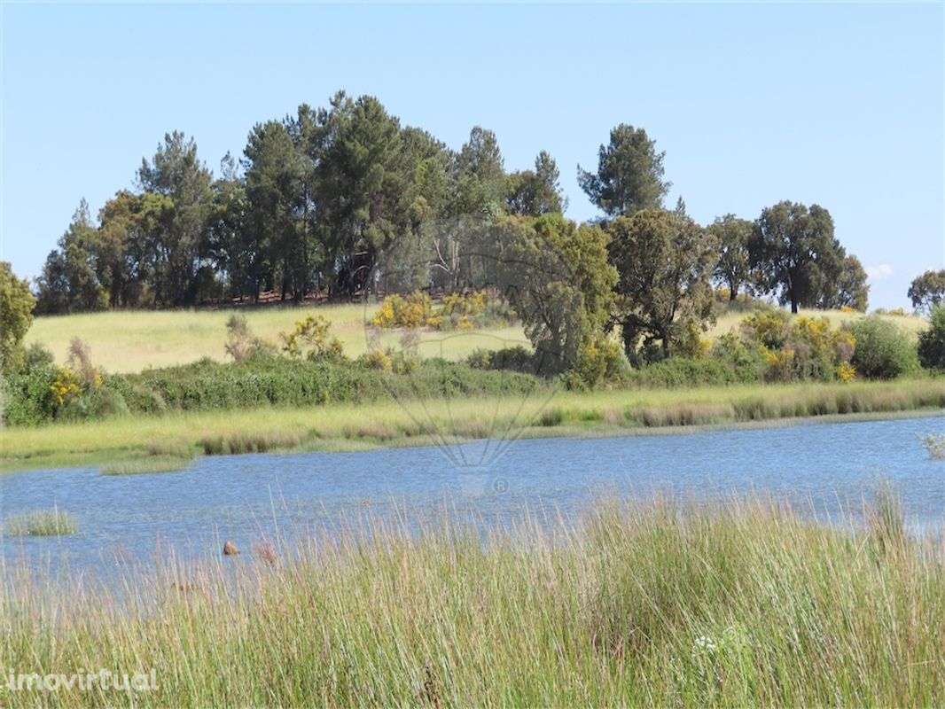 Quinta  para venda - Grande imagem: 4/27