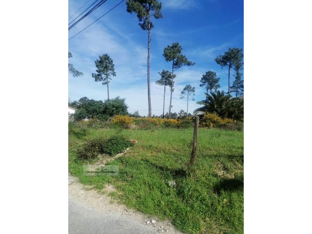 Terreno urbano com 3977 m2 na Aroeira, Charneca de Caparica. - Grande imagem: 2/16
